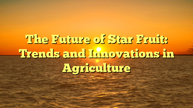 The Future of Star Fruit: Trends and Innovations in Agriculture